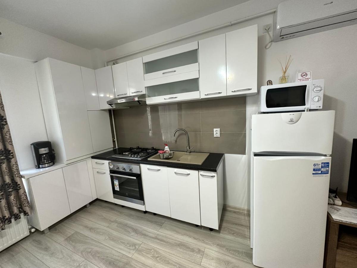 Cozy Apartment In The Heart Of Iasi - Palas Mall 外观 照片